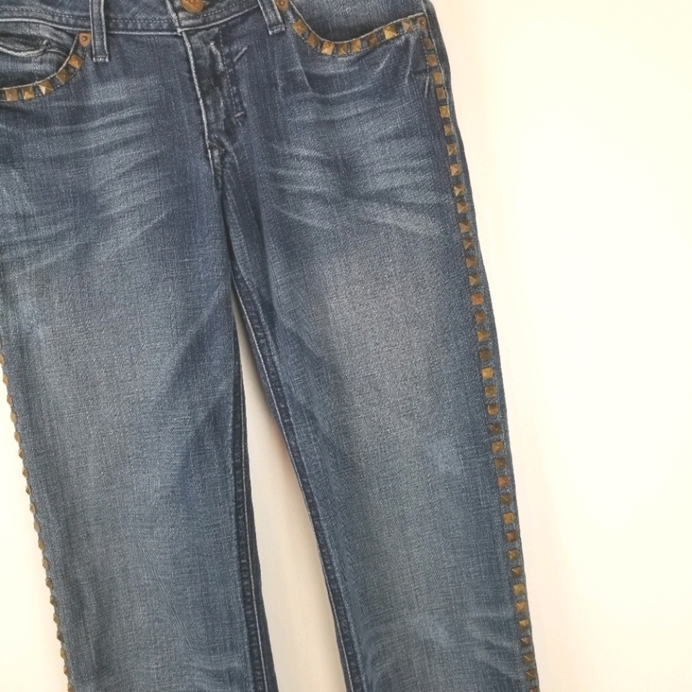 J & Company Size 28 Ocean Rocks Studded Jeans